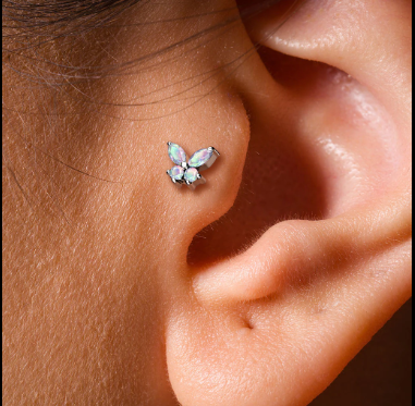 Tragus